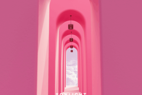 Iris Sonneville, Kundalini, Zelfwerk, Persoonlijke ontwikkeling, Energiewerk, Lichaamswerk